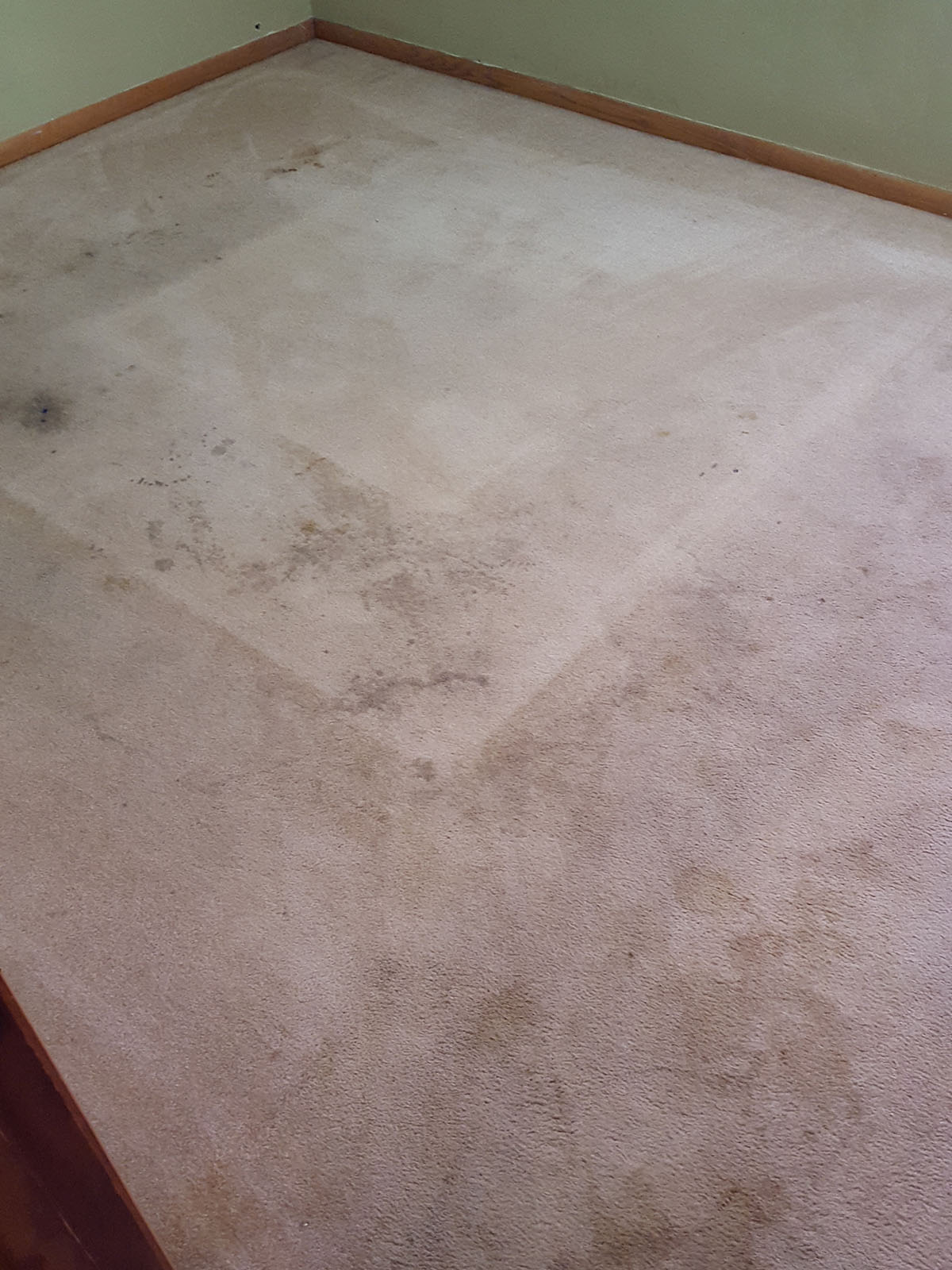Stained carpet before cleaning