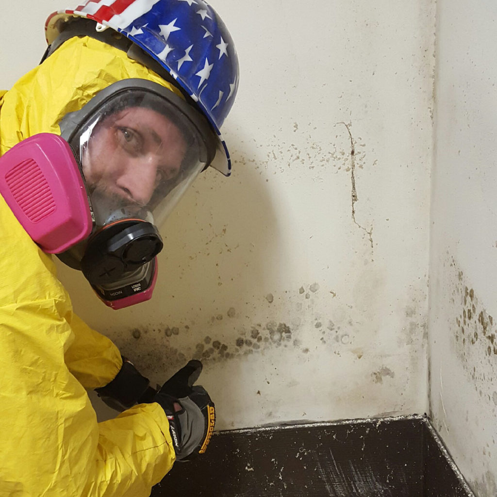 Black mold can bring on a slew of health issues for anyone who comes in contact with it.